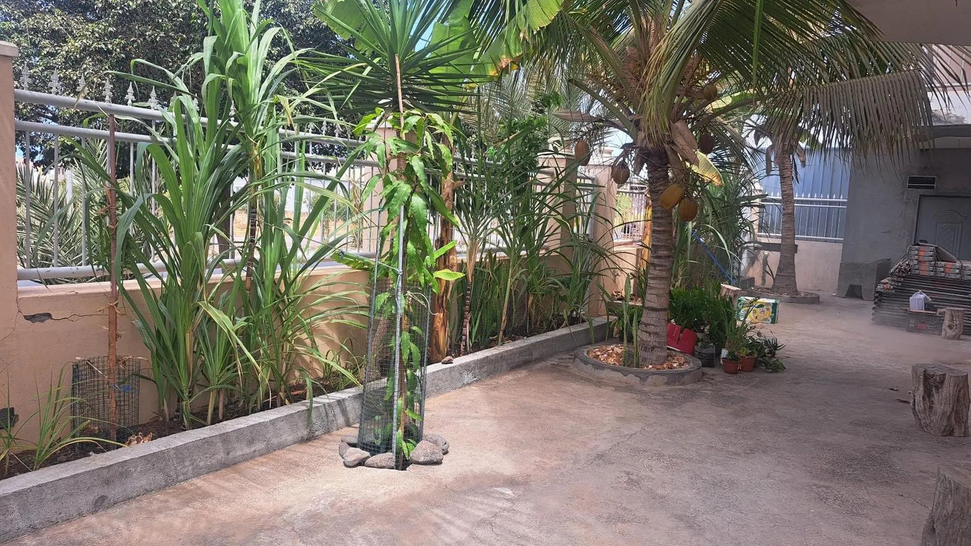 Barros Homestay Tarrafal  Bed & Breakfast Tarrafal (Santiago)